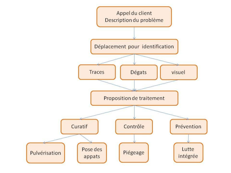 Exterminators Process Processus de l’exterminateur - Votre exterminateur à Montréal